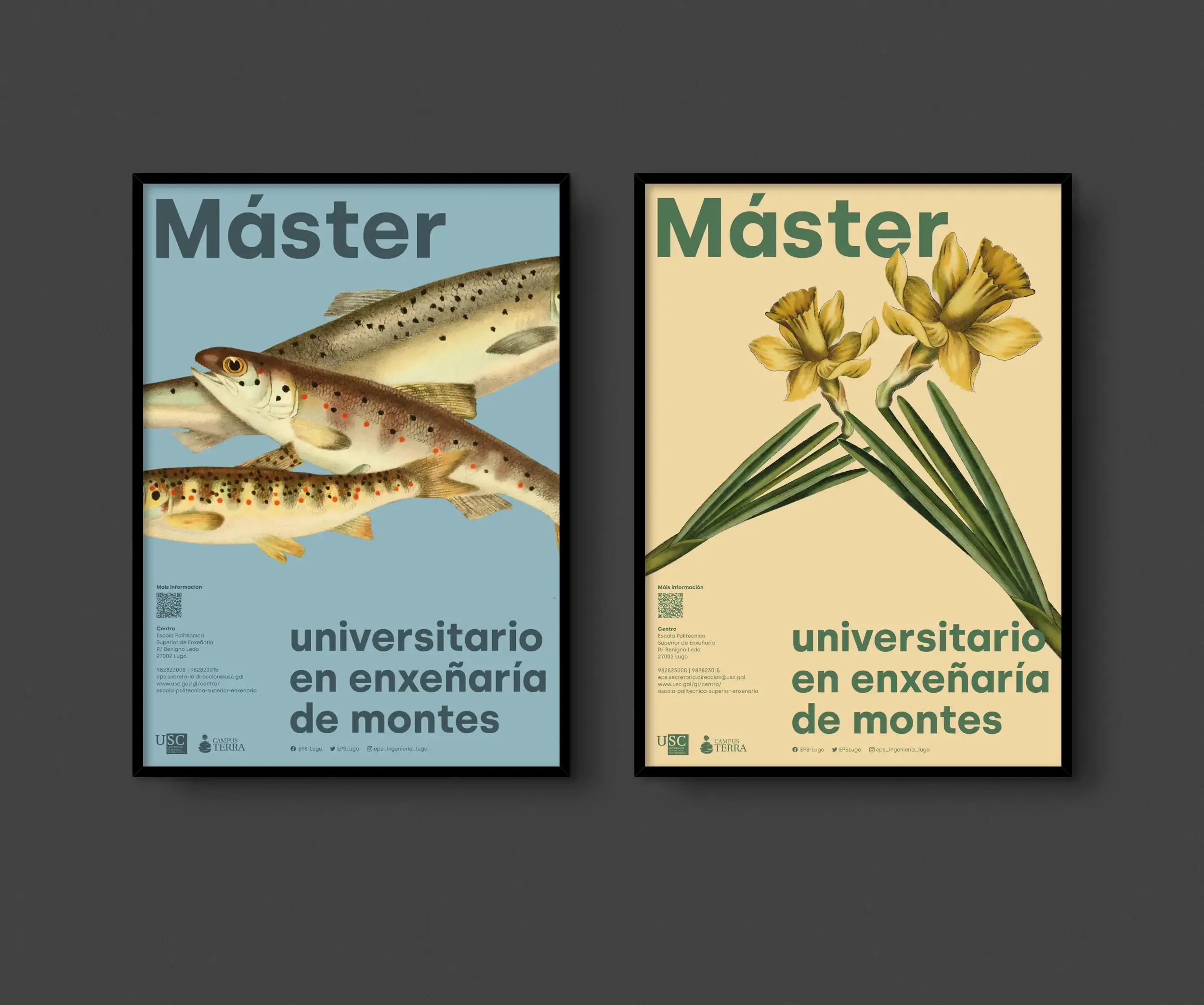 Cartaz Master Universitario en Inxeñaría de Montes - USC