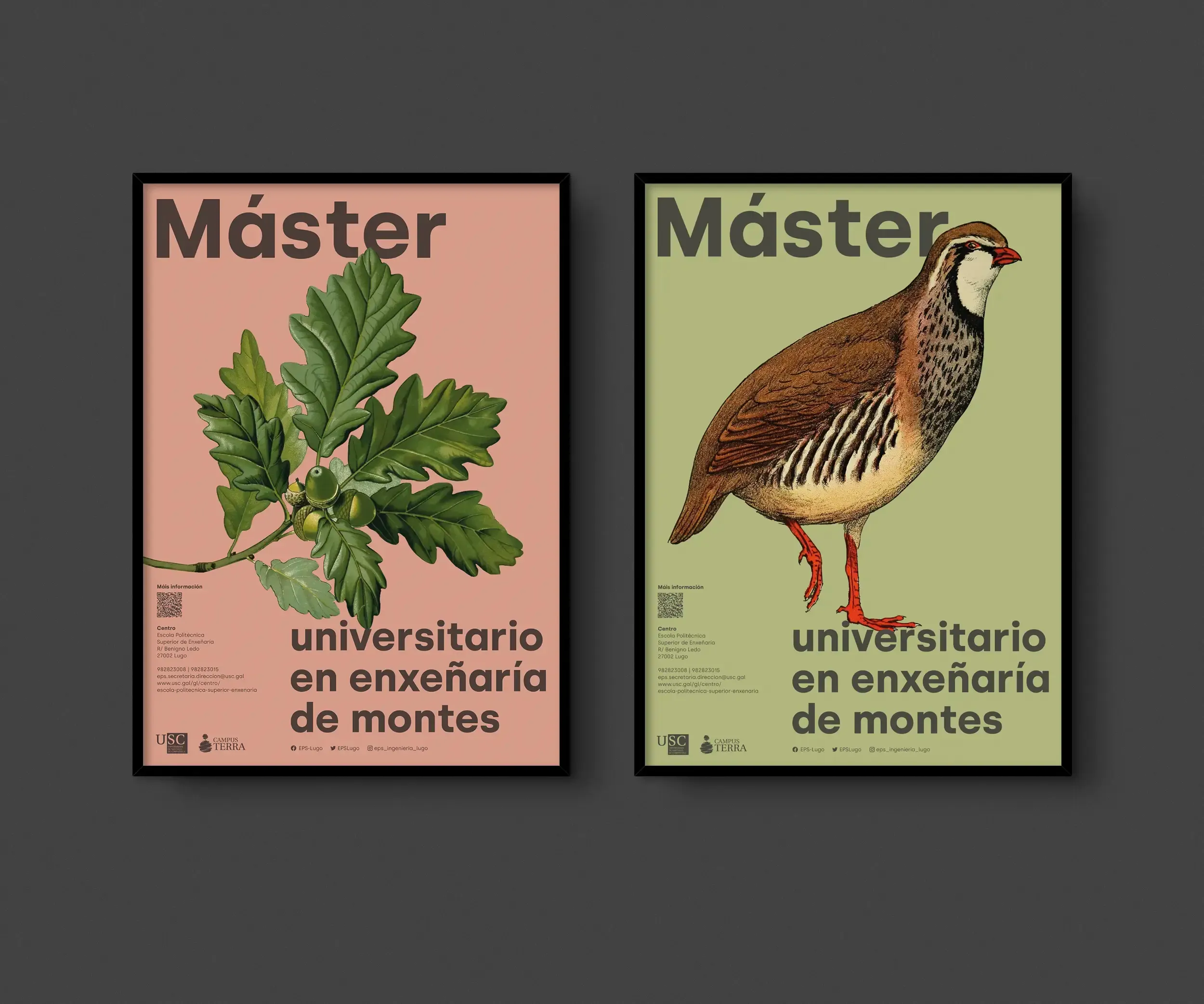 Poster Master Universitario en Inxeñaría de Montes - USC