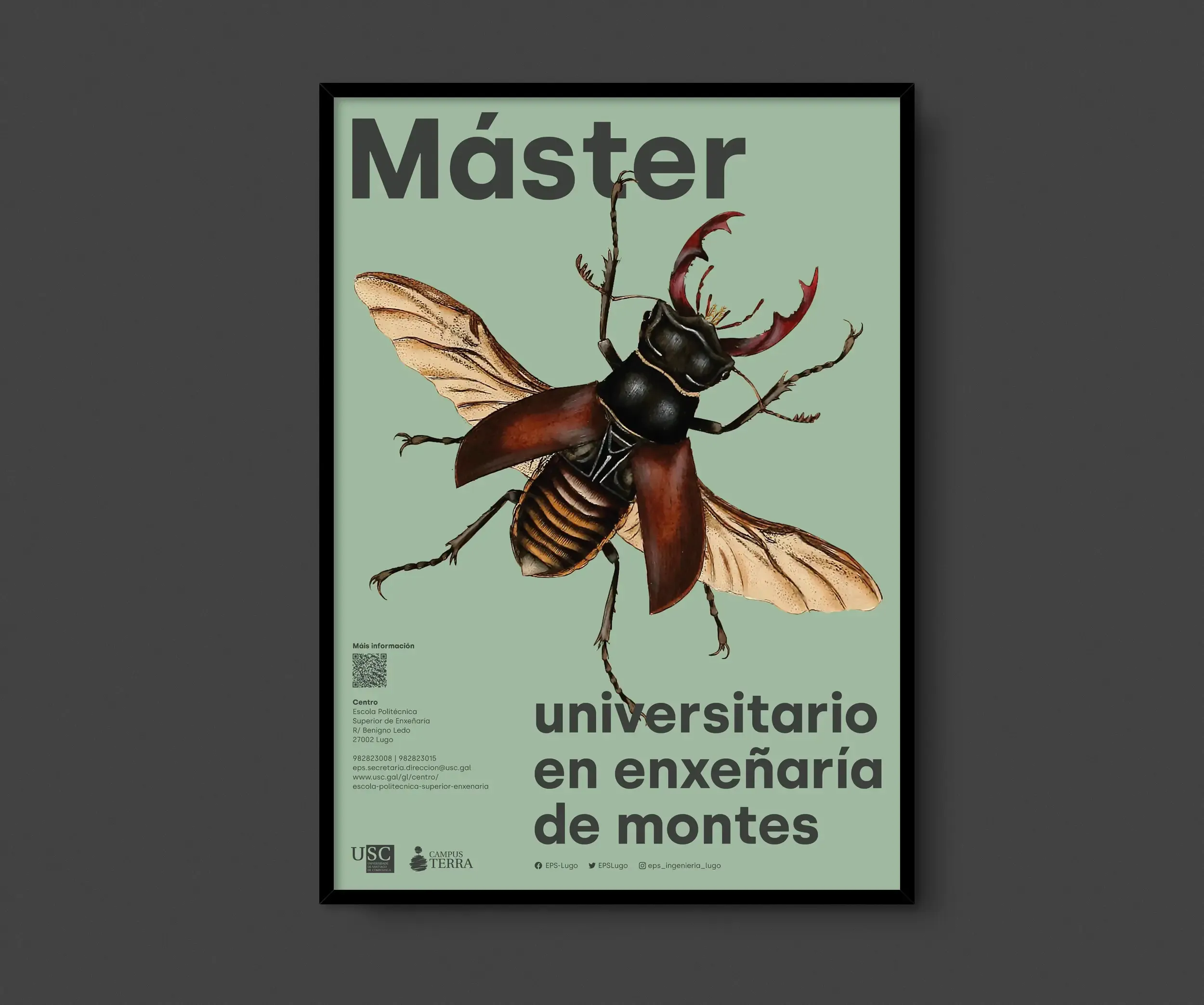 Poster Master Universitario en Inxeñaría de Montes - USC