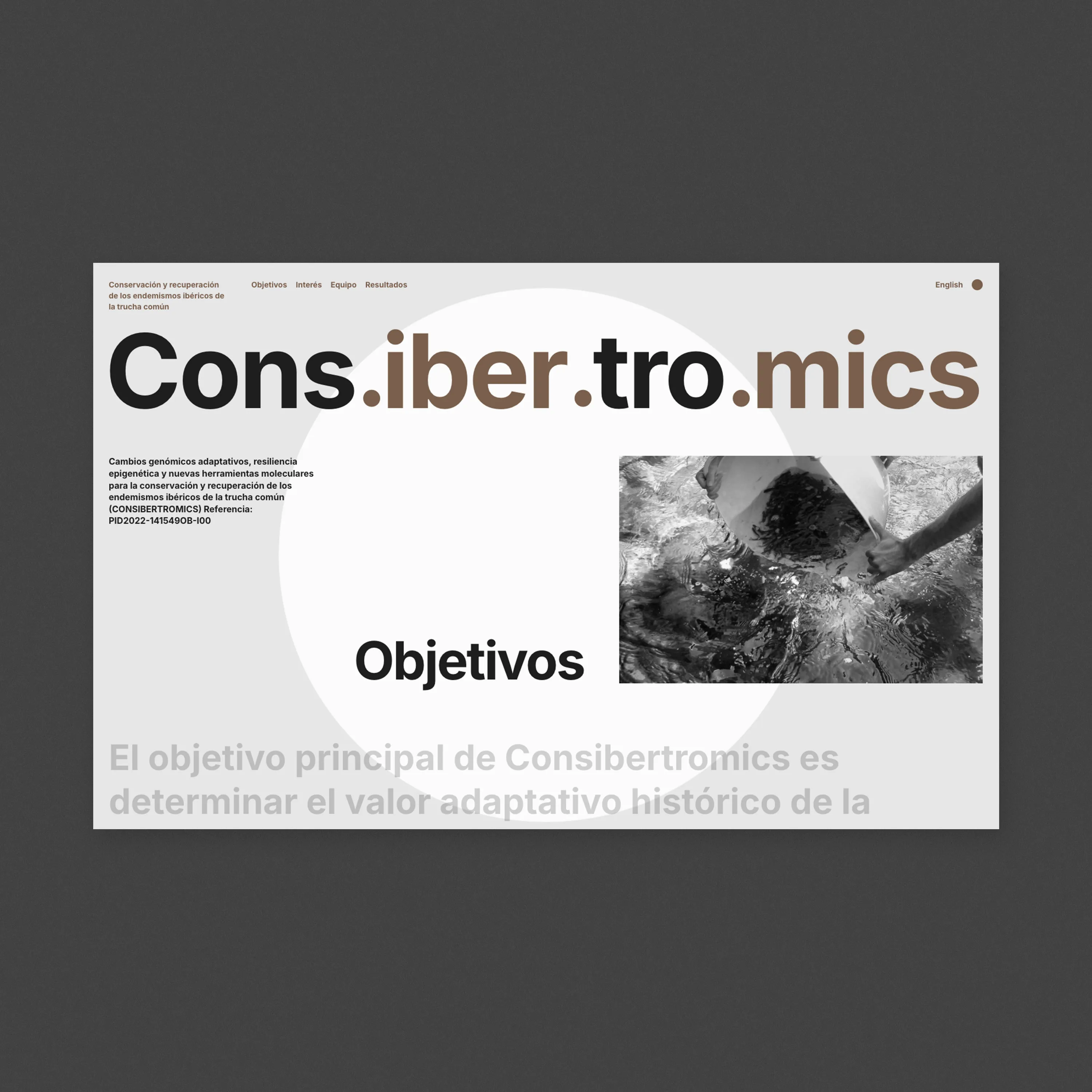 Web proxecto Consibertromics