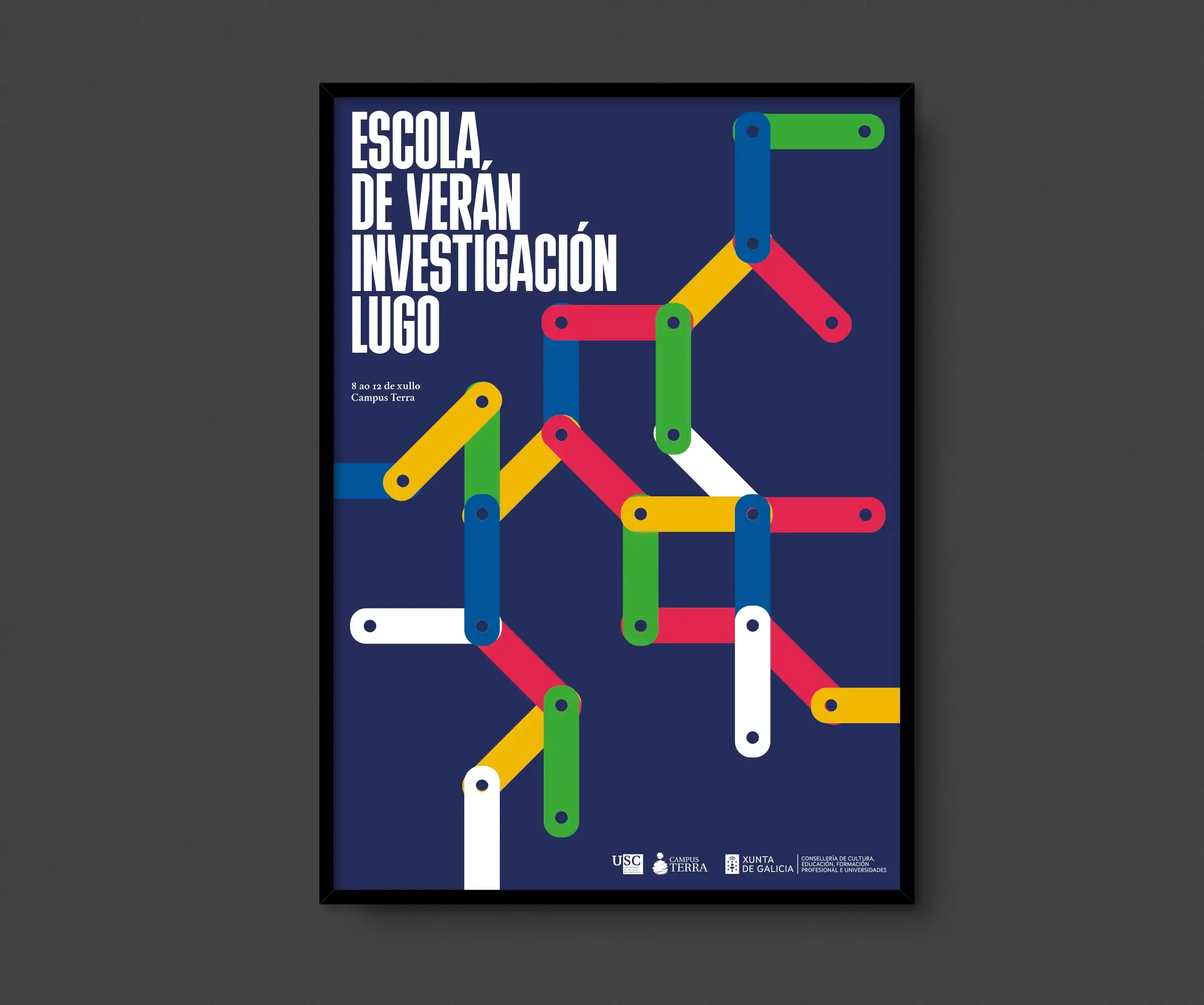 Cartel Escola de verán investigación Lugo. Usc