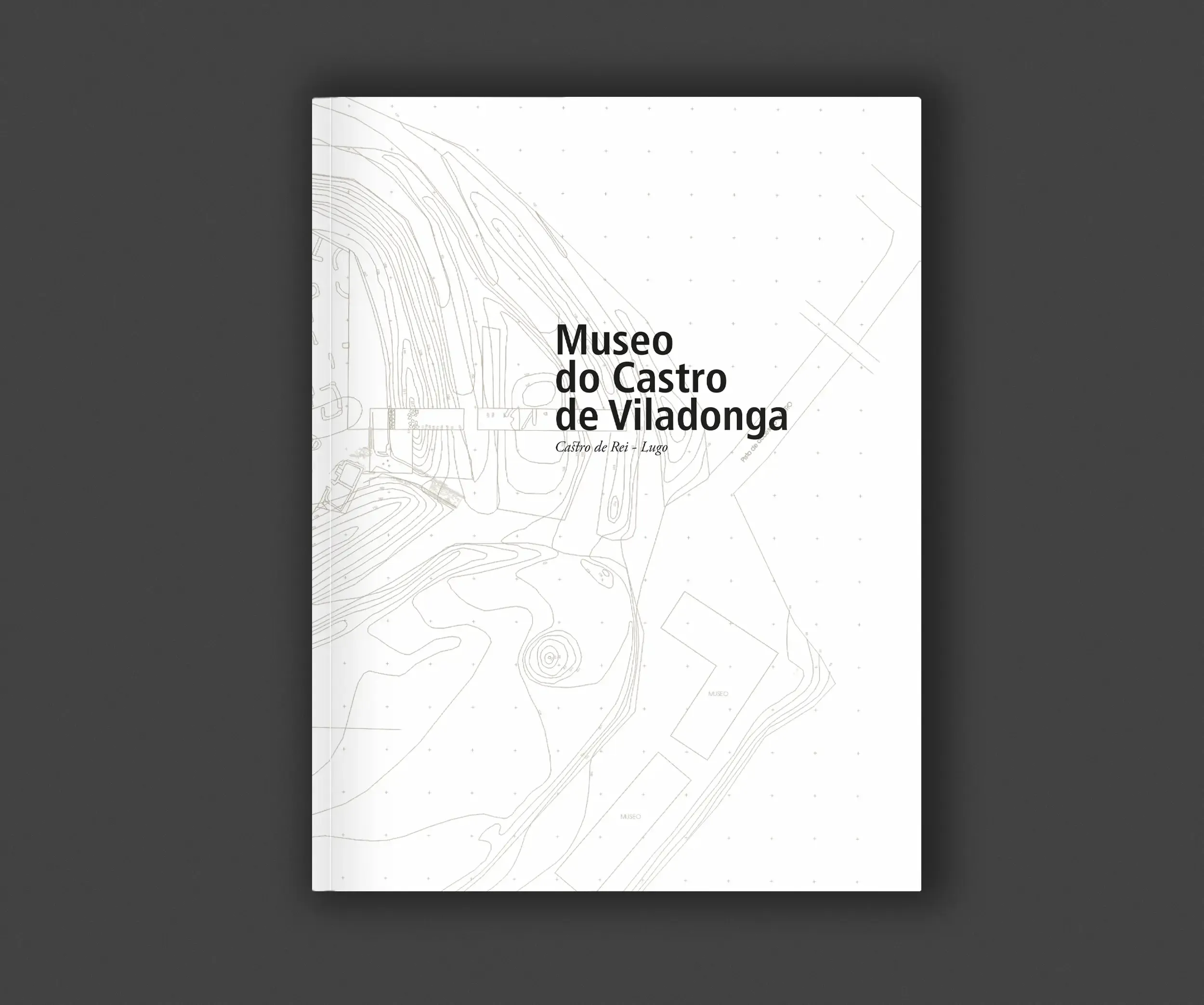 Guide to the Museo do Castro de Viladonga